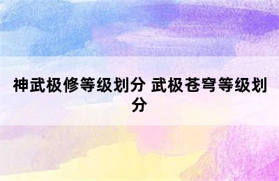 神武极修等级划分 武极苍穹等级划分